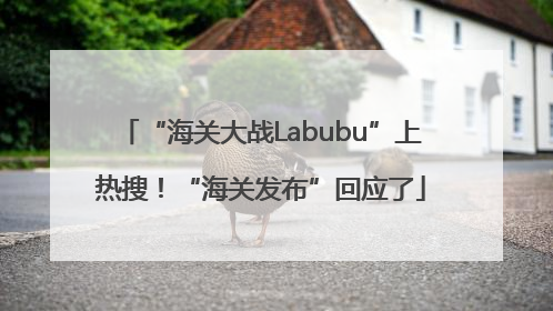 “海关大战Labubu”上热搜！“海关发布”回应了