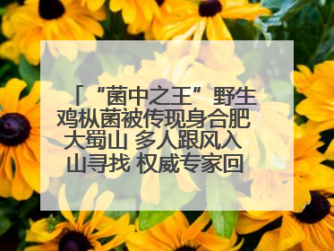 “菌中之王”野生鸡枞菌被传现身合肥大蜀山 多人跟风入山寻找 权威专家回应市民三问