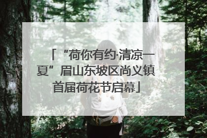 “荷你有约·清凉一夏”眉山东坡区尚义镇首届荷花节启幕