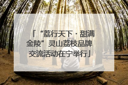 “荔行天下・甜满金陵”灵山荔枝品牌交流活动在宁举行