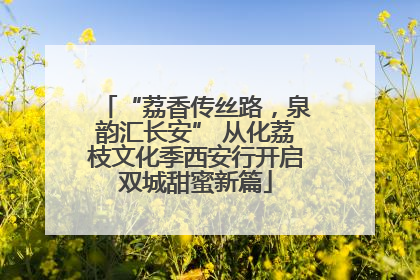 “荔香传丝路，泉韵汇长安” 从化荔枝文化季西安行开启双城甜蜜新篇