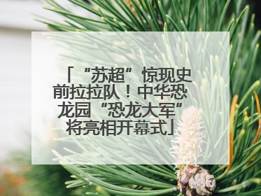 “苏超”惊现史前拉拉队！中华恐龙园“恐龙大军”将亮相开幕式