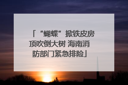 “蝴蝶”掀铁皮房顶吹倒大树 海南消防部门紧急排险