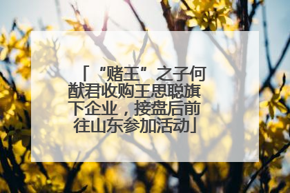 “赌王”之子何猷君收购王思聪旗下企业，接盘后前往山东参加活动