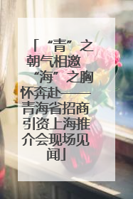 “青”之朝气相邀 “海”之胸怀奔赴——青海省招商引资上海推介会现场见闻