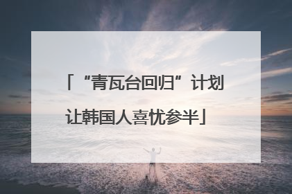 “青瓦台回归”计划让韩国人喜忧参半