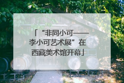 “非同小可——李小可艺术展”在西藏美术馆开幕