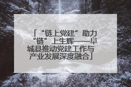 “链上党建”助力“链”上生辉——阜城县推动党建工作与产业发展深度融合