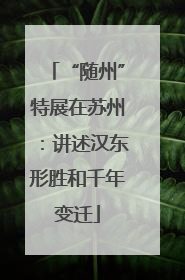 “随州”特展在苏州：讲述汉东形胜和千年变迁
