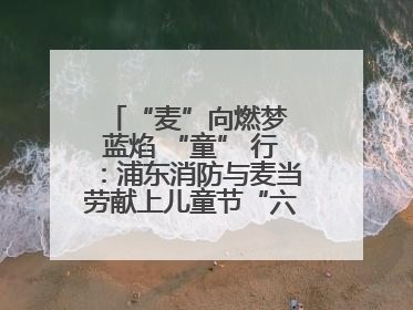 “麦”向燃梦 蓝焰 “童” 行：浦东消防与麦当劳献上儿童节“六一”礼