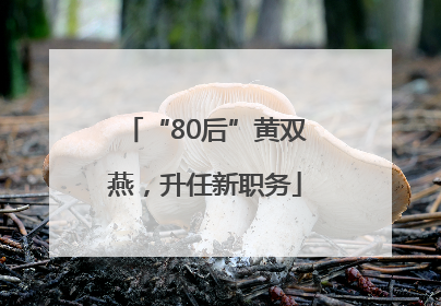 “80后”黄双燕，升任新职务