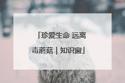 珍爱生命 远离毒蘑菇｜知识窗