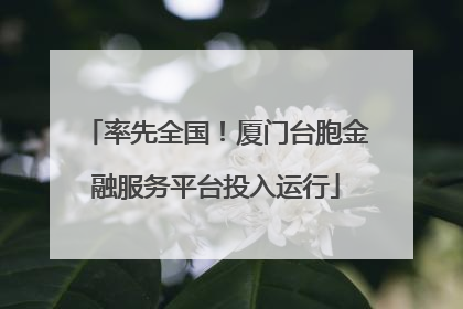 率先全国！厦门台胞金融服务平台投入运行