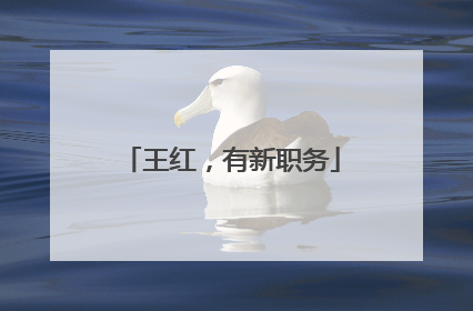 王红，有新职务