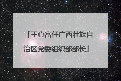 王心富任广西壮族自治区党委组织部部长