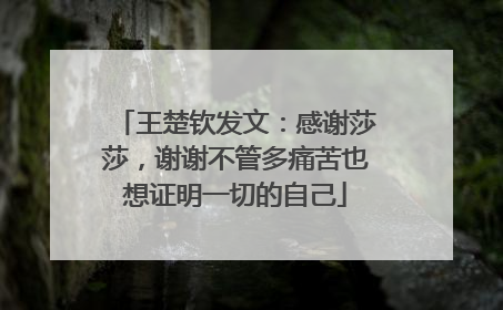 王楚钦发文：感谢莎莎，谢谢不管多痛苦也想证明一切的自己