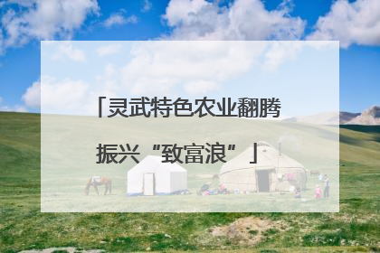 灵武特色农业翻腾振兴“致富浪”