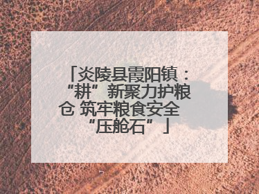 炎陵县霞阳镇：“耕”新聚力护粮仓 筑牢粮食安全“压舱石”