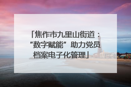 焦作市九里山街道：“数字赋能”助力党员档案电子化管理