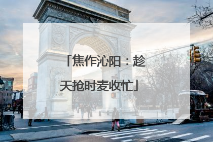 焦作沁阳：趁天抢时麦收忙