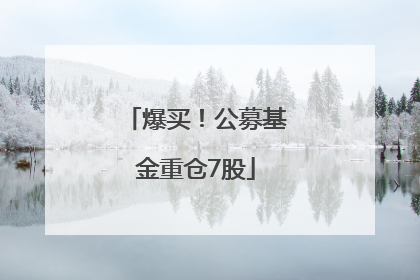 爆买！公募基金重仓7股