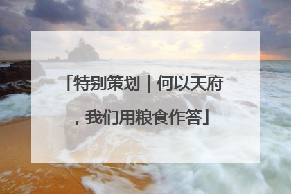 特别策划｜何以天府，我们用粮食作答