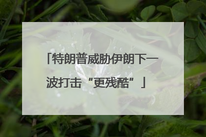 特朗普威胁伊朗下一波打击“更残酷”