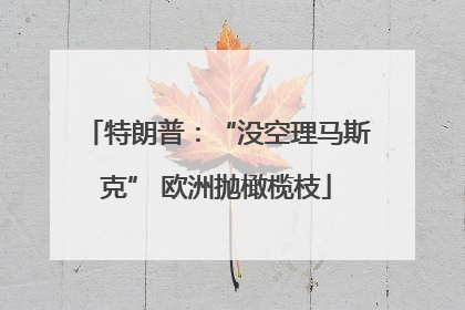 特朗普：“没空理马斯克” 欧洲抛橄榄枝