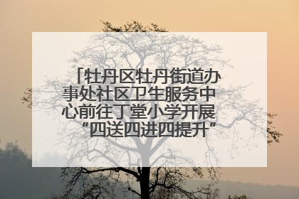 牡丹区牡丹街道办事处社区卫生服务中心前往丁堂小学开展“四送四进四提升”及无烟日宣传活动