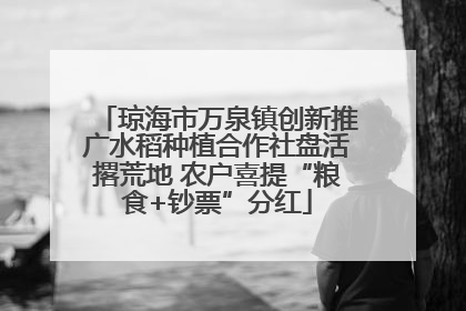 琼海市万泉镇创新推广水稻种植合作社盘活撂荒地 农户喜提“粮食+钞票”分红