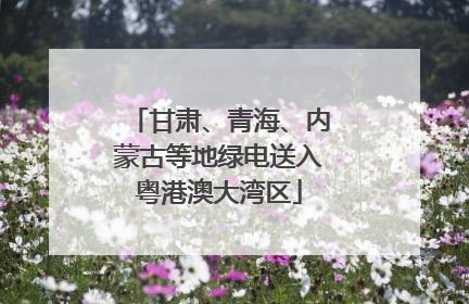 甘肃、青海、内蒙古等地绿电送入粤港澳大湾区