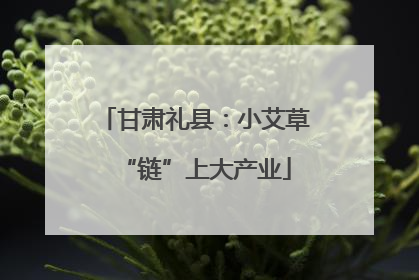 甘肃礼县：小艾草“链”上大产业