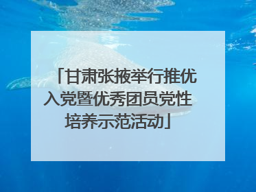甘肃张掖举行推优入党暨优秀团员党性培养示范活动