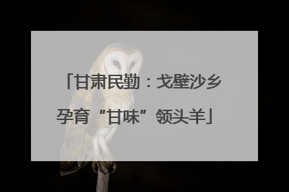 甘肃民勤：戈壁沙乡孕育“甘味”领头羊