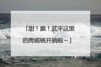 甜！脆！武平这里的鹰嘴桃开摘啦～