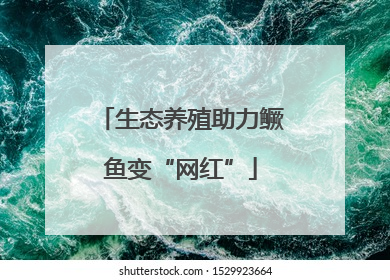 生态养殖助力鳜鱼变“网红”