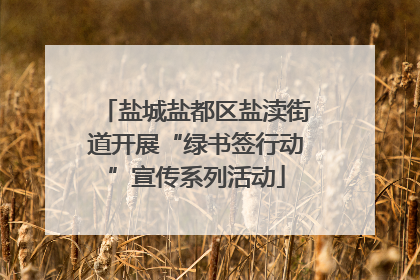 盐城盐都区盐渎街道开展“绿书签行动”宣传系列活动
