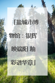 盐城市博物馆：银辉映端阳 釉彩谱华章