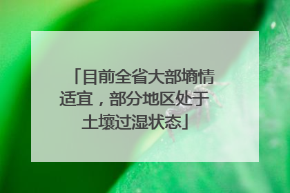 目前全省大部墒情适宜，部分地区处于土壤过湿状态