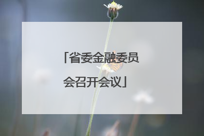省委金融委员会召开会议