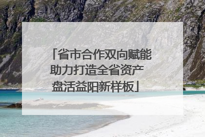 省市合作双向赋能 助力打造全省资产盘活益阳新样板