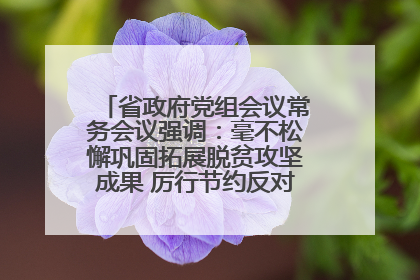 省政府党组会议常务会议强调：毫不松懈巩固拓展脱贫攻坚成果 厉行节约反对浪费弘扬优良作风
