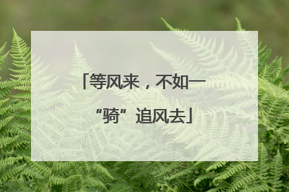 等风来，不如一“骑”追风去