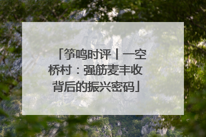 筝鸣时评丨一空桥村：强筋麦丰收背后的振兴密码