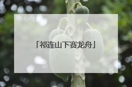 祁连山下赛龙舟