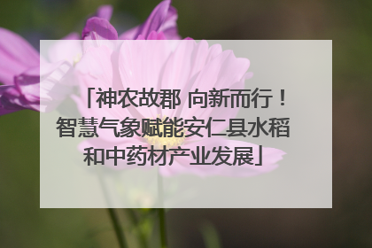 神农故郡 向新而行！智慧气象赋能安仁县水稻和中药材产业发展