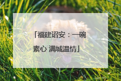 福建诏安：一碗素心 满城温情