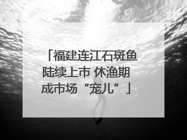 福建连江石斑鱼陆续上市 休渔期成市场“宠儿”