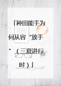 种田能手为何从容“放手”（三夏进行时）