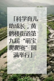 科学育儿助成长，黄鹤楼街道第九届“萌宝爬爬赛”圆满举行